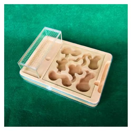 Ameisenburg Terrarium, Ausbruchsichere Ameisenfarm, transparente PP-Schale und Pastenkern, 23,5 x 17 x 3,7 cm (9,2 x 6,6 x 1,4 Zoll) von EYRMQWJPC