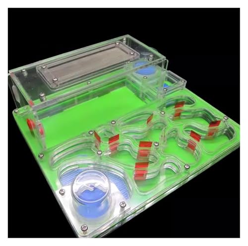 Ameisenburg Terrarium, DIY Acryl Ant Farm Castle mit Fütterungsbereich & Erweiterungsanschlüsse 20x17x7,5 cm Multicolor(Grün) von EYRMQWJPC