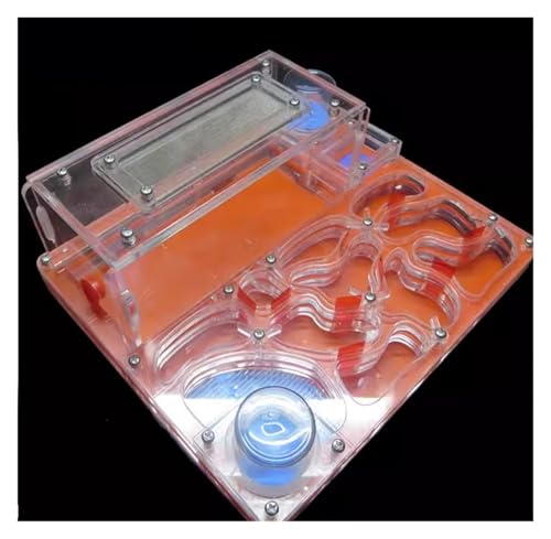 Ameisenburg Terrarium, DIY Acryl Ant Farm Castle mit Fütterungsbereich & Erweiterungsanschlüsse 20x17x7,5 cm Multicolor(Orange) von EYRMQWJPC