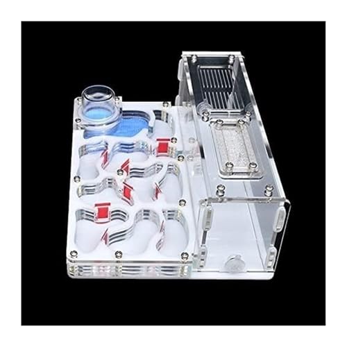 Ameisenburg Terrarium, DIY Acryl Ant Farm Castle mit Fütterungsbereich & Erweiterungsanschlüsse 20x17x7,5 cm Multicolor(White) von EYRMQWJPC