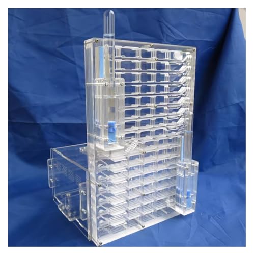 Ameisenburg Terrarium, Transparentes Acryl-Ameisenfarm-Lebensraum-Nest-Wissenschaftskit zur Beobachtung und Untersuchung des Ökosystems Ameisenburg Terrarium, Transparentes Acryl-Ameisenfarm-Lebensraum-Nest-Wissenschaftskit zur Beobachtung und Untersuchung des Ökosystems von EYRMQWJPC