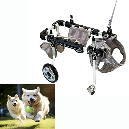 EYRMQWJPC Elldog im Rollstuhl Einstellbare Aluminiumlegierung Hund Katze Kleintier Rollstuhl Mobilitätshilfe Mehrere Größen(M) von EYRMQWJPC