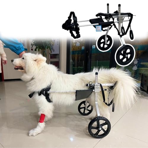 EYRMQWJPC Elldog im Rollstuhl Einstellbare Leichte Hund Rollstuhl for Zurück Beine Mehrere Größen Aluminium Haustier Mobilität Hilfe(Size XXL) von EYRMQWJPC