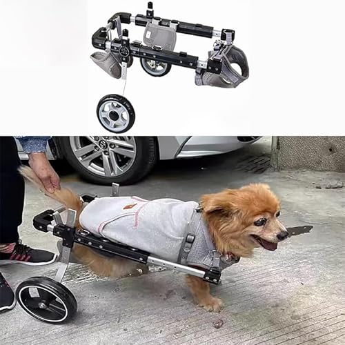 EYRMQWJPC Elldog im Rollstuhl Haustier-Rollstuhl-Mobilitätshilfe, verstellbar, Aluminiumlegierung, mehrere Größen(S) von EYRMQWJPC