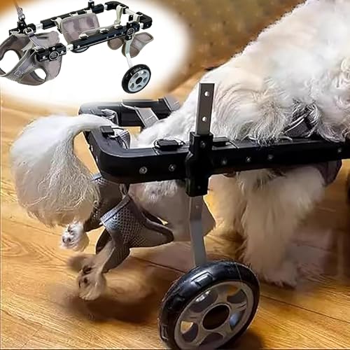 EYRMQWJPC Elldog im Rollstuhl Hundekatze Kleintier Einstellbare Aluminiumlegierung Rollstuhl 2-Rad-Geschirr Mehrere Größen(L) von EYRMQWJPC