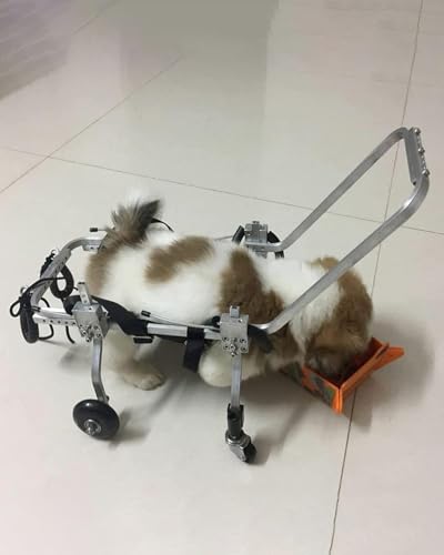 EYRMQWJPC Elldog im Rollstuhl Hunderollstuhl Katzenrollstuhl 4-Rad-Mobilitätswagen Rahmen aus Aluminiumlegierung Verstellbarer Gurt Mehrere Größen(M) von EYRMQWJPC