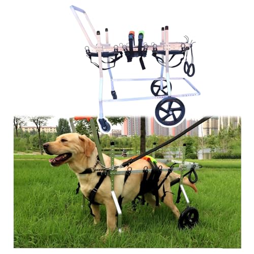 EYRMQWJPC Elldog im Rollstuhl Rollstuhl for Hunde und Katzen, Verstellbarer Aluminiumrahmen, Beinstütze vorne hinten, XXS-3XL(3XL) von EYRMQWJPC