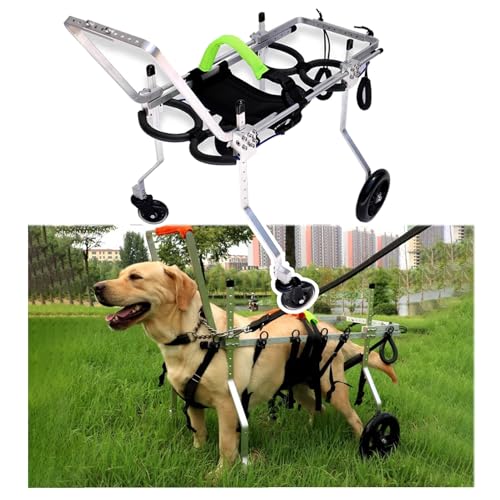 EYRMQWJPC Elldog im Rollstuhl Rollstuhl for Hunde und Katzen, Verstellbarer Aluminiumrahmen, Beinstütze vorne hinten, XXS-3XL(XL) von EYRMQWJPC