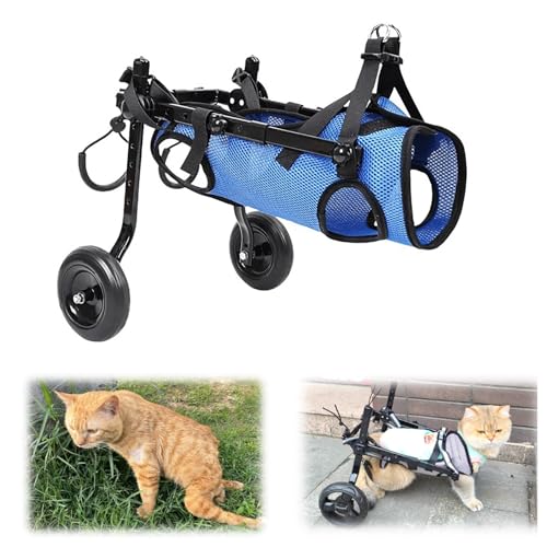 EYRMQWJPC Elldog im Rollstuhl Rollstuhl for die Hinterbeine von Hunden, verstellbare Mobilitätshilfe, leichte Aluminiumlegierung, mehrere Größen(M) von EYRMQWJPC