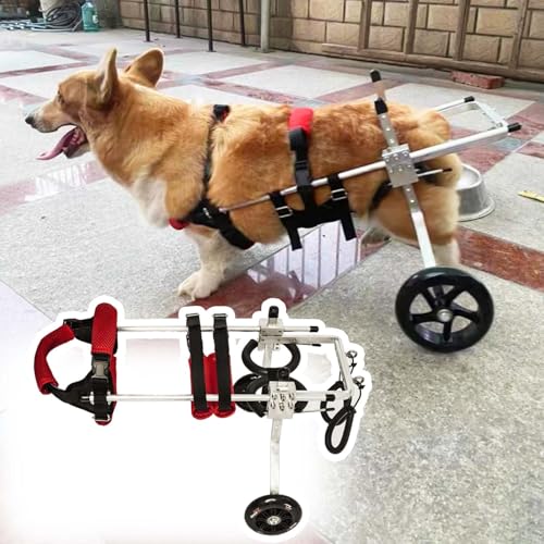 EYRMQWJPC Elldog im Rollstuhl Verstellbarer Aluminium-Haustier-Rollstuhl, Mobilitätshilfe, Mehrfarbig, mehrere Größen(Red,Size L) von EYRMQWJPC