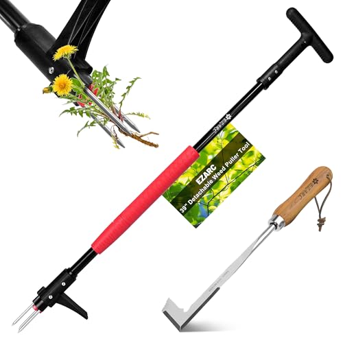 EZARC Unkrautstecher, Länge 100cm, 2tlg Gartenwerkzeug-Set mit Fugenkratzer, Unkrautentferner mit DREI-Kiefer für effizientes Entfernen von Unkraut aus Ecken und Rissen von EZARC
