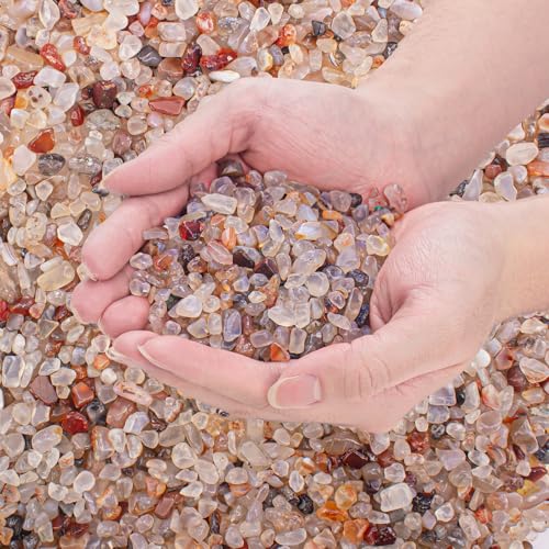EZEELAI Crystal Chips Polierter Quetschquarz-Vasenfüller, 0,4 kg, unregelmäßig geformt, Aquariumkies, Steine, Karneol, Trommelsteine, Kieselsteine für Aquarium, Vasenfüller, Sukkulenten EZEELAI Crystal Chips Polierter Quetschquarz-Vasenfüller, 0,4 kg, unregelmäßig geformt, Aquariumkies, Steine, Karneol, Trommelsteine, Kieselsteine für Aquarium, Vasenfüller, Sukkulenten von EZEELAI