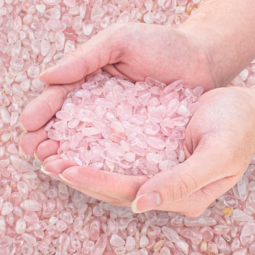 EZEELAI Rosige rosa Steine, Aquarium-Kies, getrommelte Chips, zerkleinerte Kristall-Quarz-Heilsteine für Garten, Vasenfüller, Fischschildkröten-Tank-Dekorationen, 1,4 kg EZEELAI Rosige rosa Steine, Aquarium-Kies, getrommelte Chips, zerkleinerte Kristall-Quarz-Heilsteine für Garten, Vasenfüller, Fischschildkröten-Tank-Dekorationen, 1,4 kg von EZEELAI