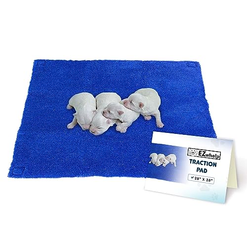 EZwhelp Traktionspad, weich, stabil und waschbar, Welpen-Bodenschutzmatte, 38 x 38 cm EZwhelp Traktionspad, weich, stabil und waschbar, Welpen-Bodenschutzmatte, 38 x 38 cm von EZwhelp
