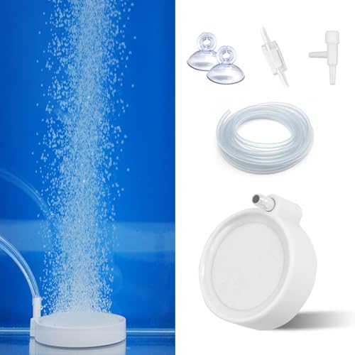Eagles Fish Tank Nano Luftstein – 5,1 cm Aquarium-Bubbler, Aquarium-Blasensteinscheibe, gelöster Sauerstoff-Diffusor, Aquarium-Sauerstoffbelüfter-Bubblerstein für 1,8 bis 1,8 l Tanks Eagles Fish Tank Nano Luftstein – 5,1 cm Aquarium-Bubbler, Aquarium-Blasensteinscheibe, gelöster Sauerstoff-Diffusor, Aquarium-Sauerstoffbelüfter-Bubblerstein für 1,8 bis 1,8 l Tanks von Eagles