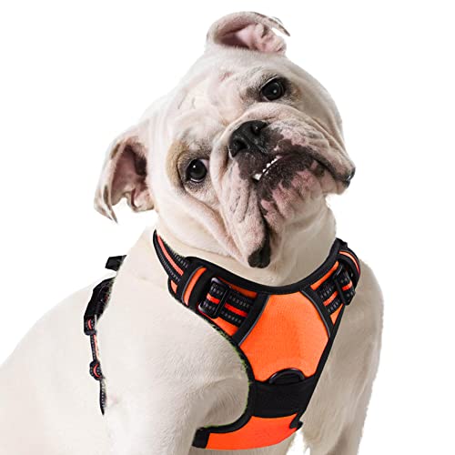 Eagloo Hundegeschirr mittelgroße Hunde, Anti Zug Hundegeschirr mit Reflexstreifen und Kontrolle, Verstellbar, Einstellbar und Langlebige Brustgeschirr Hund, Geeignet zum Gehen und Joggen, Orange, M Eagloo Hundegeschirr mittelgroße Hunde, Anti Zug Hundegeschirr mit Reflexstreifen und Kontrolle, Verstellbar, Einstellbar und Langlebige Brustgeschirr Hund, Geeignet zum Gehen und Joggen, Orange, M von Eagloo