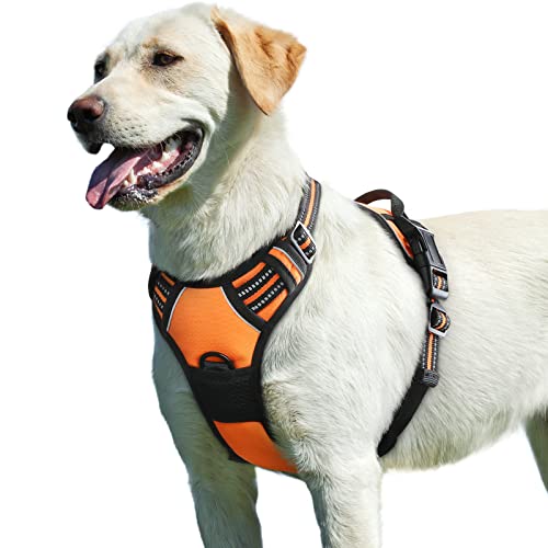 Eagloo Hundegeschirr Grosse Hunde, Anti Zug Hundegeschirr mit Reflexstreifen und Kontrolle, Verstellbar und Einstellbar Geschirr Hund Groß, Brustgeschirr für Labrador, Orange, L Eagloo Hundegeschirr Grosse Hunde, Anti Zug Hundegeschirr mit Reflexstreifen und Kontrolle, Verstellbar und Einstellbar Geschirr Hund Groß, Brustgeschirr für Labrador, Orange, L von Eagloo