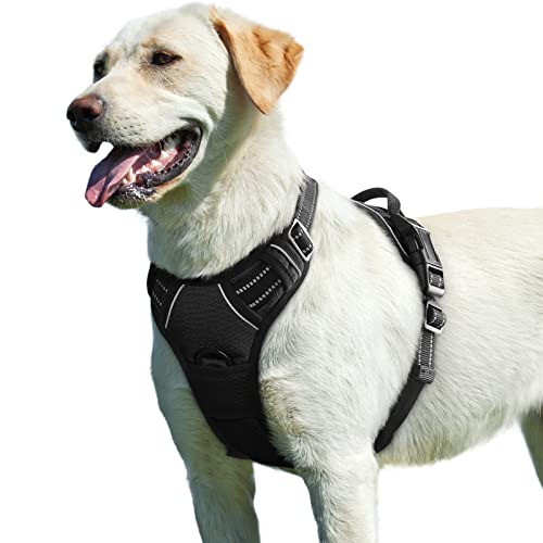 Eagloo Hundegeschirr Grosse Hunde, Anti Zug Hundegeschirr mit Reflexstreifen und Kontrolle, Verstellbar und Einstellbar Geschirr Hund Groß, Brustgeschirr für Labrador, Schwarz, L Eagloo Hundegeschirr Grosse Hunde, Anti Zug Hundegeschirr mit Reflexstreifen und Kontrolle, Verstellbar und Einstellbar Geschirr Hund Groß, Brustgeschirr für Labrador, Schwarz, L von Eagloo