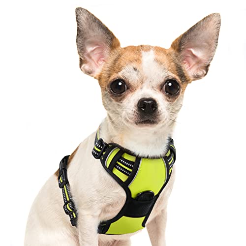 Eagloo Hundegeschirr Kleine Hunde, Anti Zug Hundegeschirr mit Reflexstreifen und Kontrolle, Verstellbar, Einstellbar und Langlebige Brustgeschirr Hund, Geeignet zum Gehen und Joggen, Grün, S Eagloo Hundegeschirr Kleine Hunde, Anti Zug Hundegeschirr mit Reflexstreifen und Kontrolle, Verstellbar, Einstellbar und Langlebige Brustgeschirr Hund, Geeignet zum Gehen und Joggen, Grün, S von Eagloo