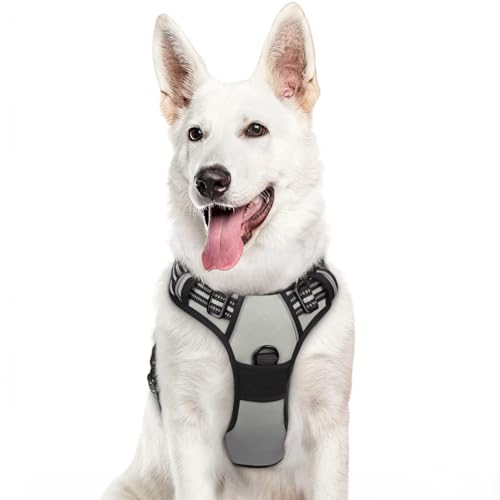 Eagloo Hundegeschirr Grosse Hunde, Anti Zug Hundegeschirr mit Reflexstreifen und Kontrolle, Verstellbar und Einstellbar Geschirr Hund Groß, Brustgeschirr für Labrador, Grau, XL Eagloo Hundegeschirr Grosse Hunde, Anti Zug Hundegeschirr mit Reflexstreifen und Kontrolle, Verstellbar und Einstellbar Geschirr Hund Groß, Brustgeschirr für Labrador, Grau, XL von Eagloo
