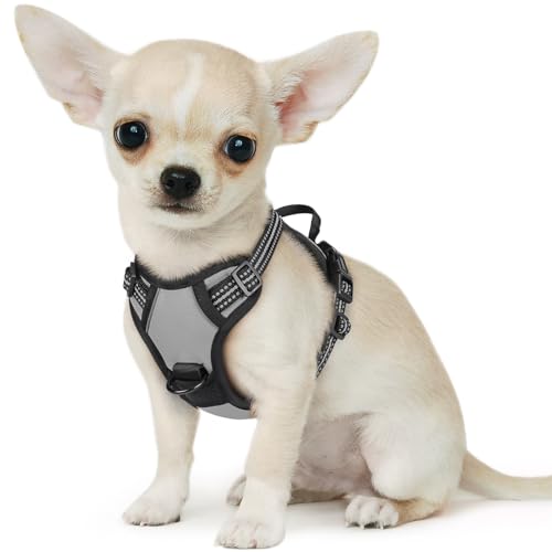 Eagloo Hundegeschirr Kleine Hunde, Anti Zug Hundegeschirr mit Reflexstreifen und Kontrolle, Verstellbar, Einstellbar und Langlebige Brustgeschirr Hund, Geeignet zum Gehen und Joggen, Grau, XS Eagloo Hundegeschirr Kleine Hunde, Anti Zug Hundegeschirr mit Reflexstreifen und Kontrolle, Verstellbar, Einstellbar und Langlebige Brustgeschirr Hund, Geeignet zum Gehen und Joggen, Grau, XS von Eagloo