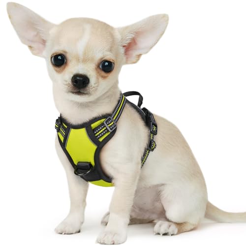 Eagloo Hundegeschirr Kleine Hunde, Anti Zug Hundegeschirr mit Reflexstreifen und Kontrolle, Verstellbar, Einstellbar und Langlebige Brustgeschirr Hund, Geeignet zum Gehen und Joggen, Grün, XS Eagloo Hundegeschirr Kleine Hunde, Anti Zug Hundegeschirr mit Reflexstreifen und Kontrolle, Verstellbar, Einstellbar und Langlebige Brustgeschirr Hund, Geeignet zum Gehen und Joggen, Grün, XS von Eagloo
