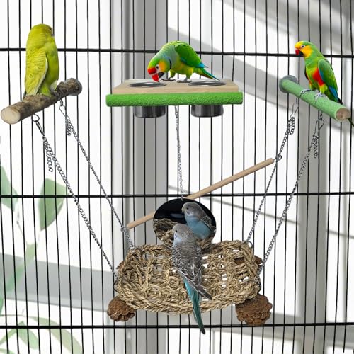 EALACRITAS Papageien-Spielplatz-Set – Sitzstangen mit Saugnäpfen und Hängesitzen mit Naturholzständern, Seegrasschaukel, lustigen kaubaren Plattformen und doppelseitigem Spiegel für Papageien EALACRITAS Papageien-Spielplatz-Set – Sitzstangen mit Saugnäpfen und Hängesitzen mit Naturholzständern, Seegrasschaukel, lustigen kaubaren Plattformen und doppelseitigem Spiegel für Papageien von Ealacritas