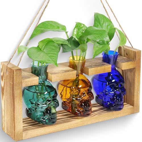 Pflanzen-Terrarium, Anzuchtstationen, Hydrokultur-Pflanzgefäß, Vase, Totenköpfe, Dekoration, mit Holzständer, Geschenk (3 x gemischte Farben) von EaseThrift
