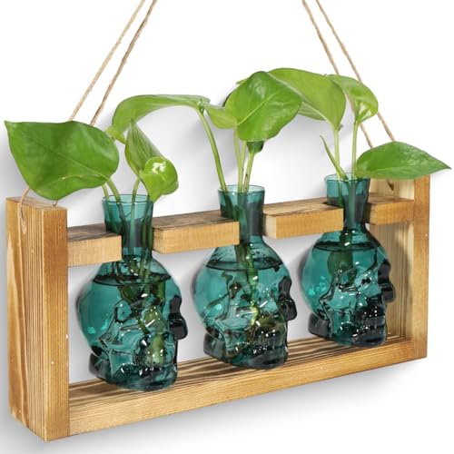 Pflanzen-Terrarium, Anzuchtstationen, Hydrokultur-Pflanzgefäß, Vase, Totenköpfe, Dekoration, mit Holzständer, Geschenk (grau) von EaseThrift