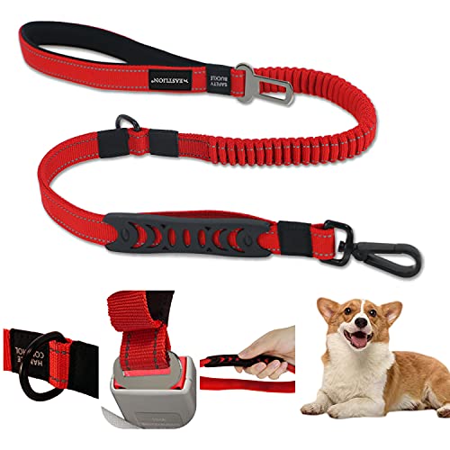 Eastlion Bungee Hundeleine Elastisch,Ruckdämpfer Hund,Anti Zug Stoßdämpfer Reflektierend Hundeleinen mit 2 Griff,Starkes Trainingsleine mit Auto Sicherheitsgurt für Mittlere und Große Hunde-Rot Eastlion Bungee Hundeleine Elastisch,Ruckdämpfer Hund,Anti Zug Stoßdämpfer Reflektierend Hundeleinen mit 2 Griff,Starkes Trainingsleine mit Auto Sicherheitsgurt für Mittlere und Große Hunde-Rot von Eastlion