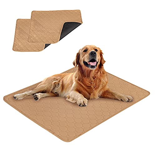 EASTLION Trainingsunterlagen Welpen,Waschbar Haustier-Urinunterlage,Schnell Absorbierend Hunde Matte,Wiederverwendbar Hunde Unterlage für Welpen,für Hunde,Katzen(100x70 cm 2 Stück) L-Beige von Eastlion