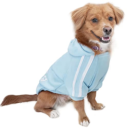 Eastlion Hund Pullover Welpen-T-Shirt Warm Pullover Mantel Pet Kleidung Bekleidung, Blau, Gr. XS von Eastlion