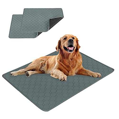 EASTLION Trainingsunterlagen Welpen,Waschbar Haustier-Urinunterlage,Schnell Absorbierend Hunde Matte,Wiederverwendbar Hunde Unterlage für Welpen,für Hunde,Katzen(60x45 cm 2 Stück) S-Grau von Eastlion