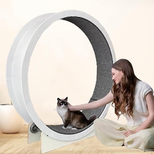 Katzenlaufrad für Hauskatzen, 120 cm großes Katzenlaufband mit Teppichlaufbahn, Katzenlaufrad Katzenlaufrad für Hauskatzen, 120 cm großes Katzenlaufband mit Teppichlaufbahn, Katzenlaufrad von Eastnmythet