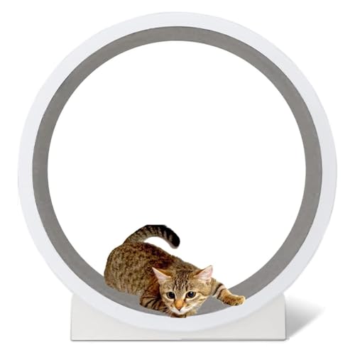 Katzenräder für Hauskatzen, 47" großes Katzen-Laufrad mit Teppichlaufbahn, Katzenlaufrad, Katzenlaufbandrad Katzenräder für Hauskatzen, 47" großes Katzen-Laufrad mit Teppichlaufbahn, Katzenlaufrad, Katzenlaufbandrad von Eastnmythet