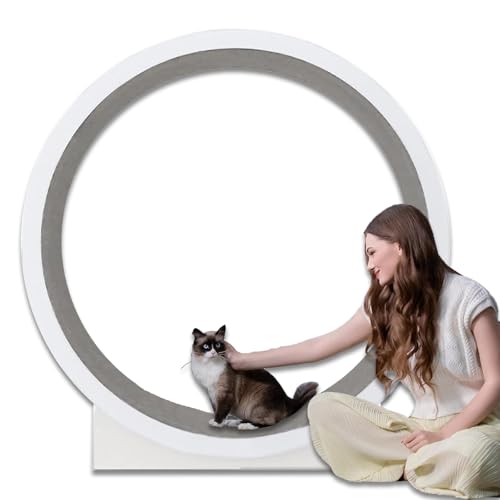 Laufband für Katzen, Laufrad für Katzen im Haus, 47 Zoll großes Laufrad für Katzen mit Laufbahn aus Teppich, Fitness-Gewichtsverlust Laufband für Katzen, Laufrad für Katzen im Haus, 47 Zoll großes Laufrad für Katzen mit Laufbahn aus Teppich, Fitness-Gewichtsverlust von Eastnmythet