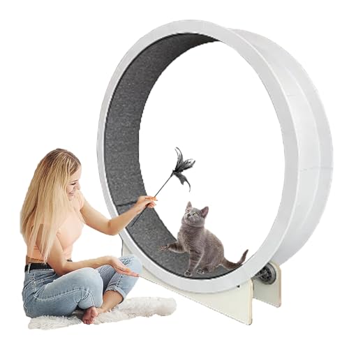 Laufrad für Katzen, Katzenräder für Hauskatzen mit Laufbahn aus Teppich, Laufband für Katzen für kleine, mittelgroße und große Katzen Laufrad für Katzen, Katzenräder für Hauskatzen mit Laufbahn aus Teppich, Laufband für Katzen für kleine, mittelgroße und große Katzen von Eastnmythet