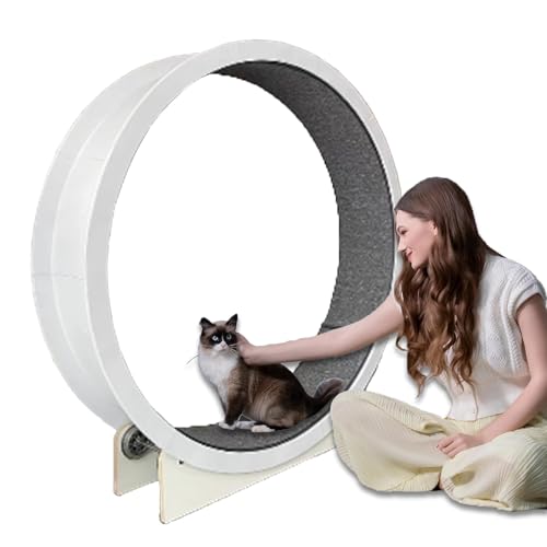 Laufrad für Katzen für Hauskatzen, Laufband für Katzen, 47 Zoll groß, Laufrad für Katzen mit Laufbahn aus Teppich Laufrad für Katzen für Hauskatzen, Laufband für Katzen, 47 Zoll groß, Laufrad für Katzen mit Laufbahn aus Teppich von Eastnmythet
