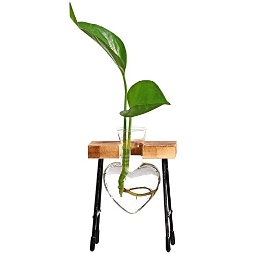 Pflanzenvermehrungsstation Terrarium | Tischkübel aus Glas mit Holzständer für Hydrokultur - Blumenzwiebel-Vase-Herz-Pflanzenterrarium für Home-Dekor Eastuy von Eastuy