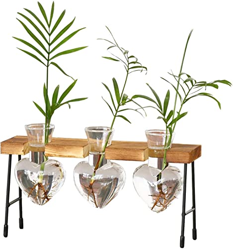 Pflanzenvermehrungsstation Terrarium - Tischkübel aus Glas mit Holzständer für Hydrokultur | Blumenzwiebel-Vase-Herz-Pflanzenterrarium für Home-Dekor Eastuy von Eastuy