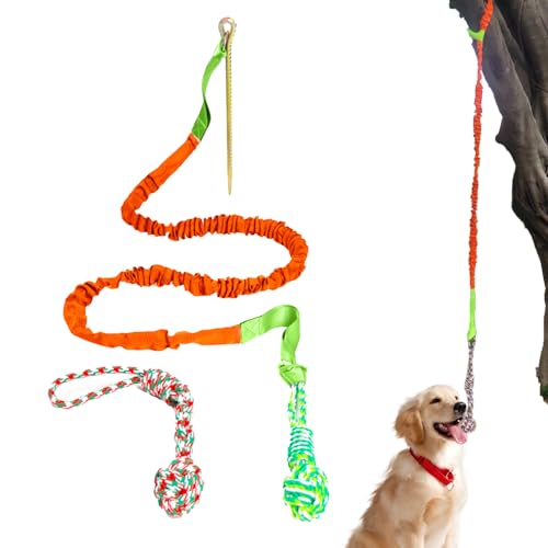 Seilspielzeug für aggressive Kauer - Robustes Spielzeug für Hunde,Unzerstörbares Zahnungs-Kauspielzeug für Welpen, Kauspielzeug für Hunde mit knirschenden Zähnen für mittelgroße und große Hunde Eastuy von Eastuy