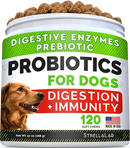 Easy Life 38 Verschiedene Sorten und Größen 250 ml - 5 Liter Profito, Carbo, Kalium, AlgExit, BlueExit, Voogle UVM. (Easy Voogle 5 L) von Easy Life