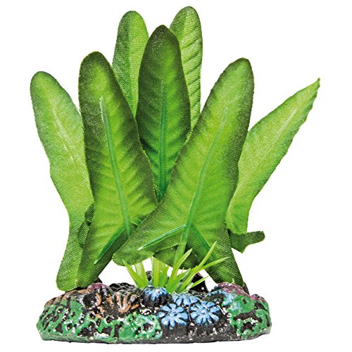 Easy-Life AP1154 Syngonium aus Seide von Easy Life