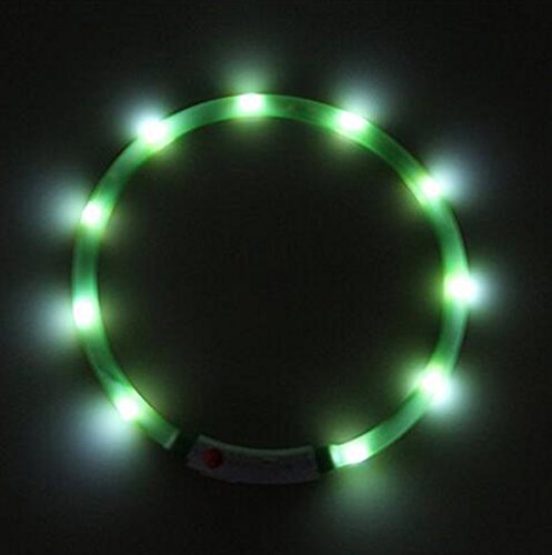 EasyDog USB wiederaufladbares Blinkband (grün) von EasyDog
