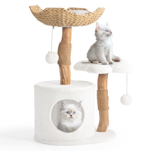 Easyego Moderner Kratzbaum, ästhetischer Holz-Katzenbaumturm für große Katzen, Luxus-Katzenhütte mit Kratzbäumen und Blumenplattformen, Katzenmöbel von Easyego, Weiß Easyego Moderner Kratzbaum, ästhetischer Holz-Katzenbaumturm für große Katzen, Luxus-Katzenhütte mit Kratzbäumen und Blumenplattformen, Katzenmöbel von Easyego, Weiß von Easyego