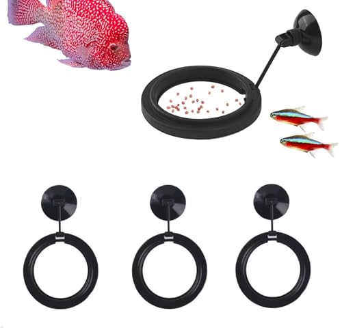 EatingBiting 3 x Futterring, 7,6 cm, rund, für Aquarien, hängender Futterspender, kleine runde quadratische Kreise, Saugnäpfe für Fische für Aquarien, schwimmendes Futter von EatingBiting