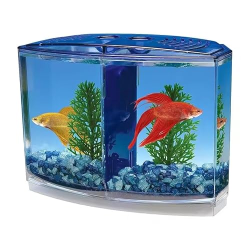 EatingBiting Großes Doppelfach Fighting Fish Box Eco Rumble Fish Aquarium Mini Aquarium Kunststoff Isolation Box Zuchtbox Transparent Betta Fish Tank EatingBiting Großes Doppelfach Fighting Fish Box Eco Rumble Fish Aquarium Mini Aquarium Kunststoff Isolation Box Zuchtbox Transparent Betta Fish Tank von EatingBiting