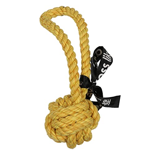 EBI, Are You Knots' Ball mit Schnalle, 28 cm, Gelb, mit Schnalle, zum Apportieren und Ziehen, Feste gedrehte Baumwolle, gemischte Farbe Gelb, bis zum Herzen trägt zu gesunden Zähnen und Zahnfleisch von Ebi & Ebi