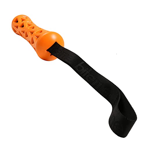 EBI, Spielzeug Crack Me Up Stick L – 42 x 6,3 x 6,3 cm orange/schwarz, stimuliert Kauen und Bissen, beugt Zahnbelag und Zahnstein vor, Robustes Spielzeug aus Gummi mit Knisternpapier von Ebi & Ebi