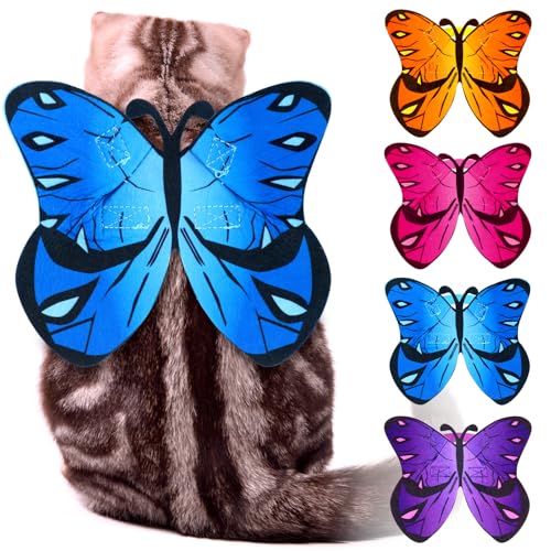 Eccliy 4-teiliges Katzen- und Hunde-/Schmetterlingskostüm, Flügel für Halloween, Party-Dekoration, Halloween, Welpenhalsband, Leinen, Cosplay, Fledermaus-Kostüm, Outfit, niedliches Welpen-Kostüm Eccliy 4-teiliges Katzen- und Hunde-/Schmetterlingskostüm, Flügel für Halloween, Party-Dekoration, Halloween, Welpenhalsband, Leinen, Cosplay, Fledermaus-Kostüm, Outfit, niedliches Welpen-Kostüm von Eccliy